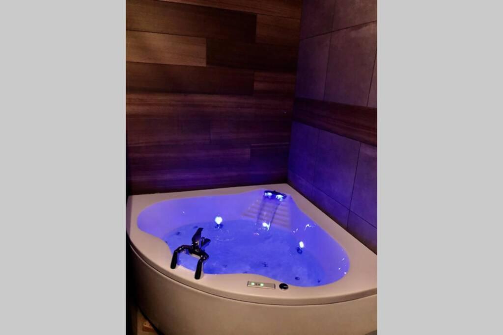 Studio Cocooning Spa, Lit Xxl, Cour Exterieure Le Puy-en-Velay Екстер'єр фото